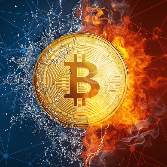 nexus Market Link